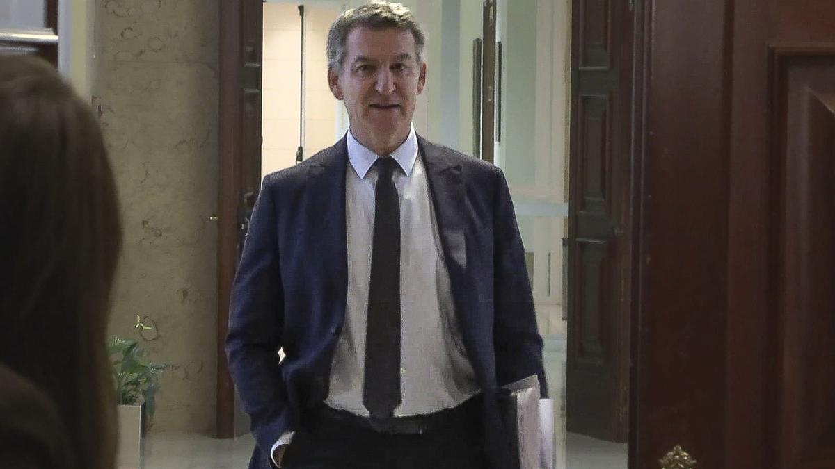 El presidente del PP, Alberto Núñez Feijóo a su llegada para declarar, en calidad de testigo y de forma telemática desde su despacho en el Congreso, ante la jueza que instruye la causa penal por la gestión de la dana.