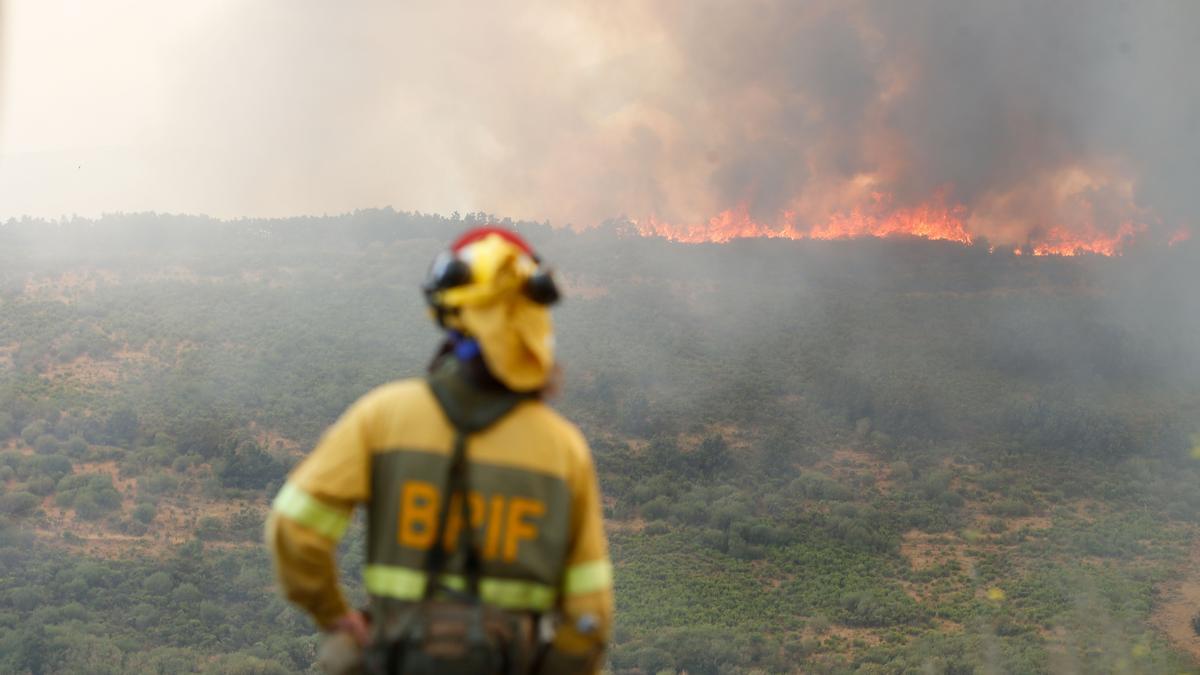 Un bombero observa el incendio forestal, a 24 de agosto de 2025, en La Baña, Encinedo, La Cabrera, León.