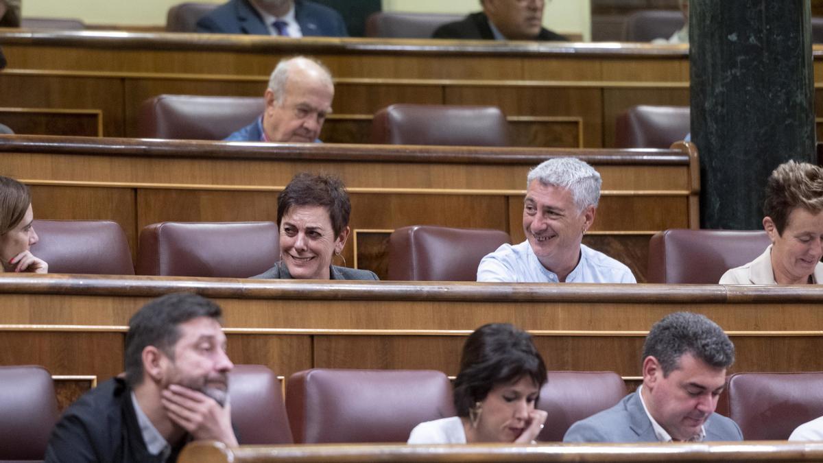 La portavoz de EH Bildu en el Congreso, Mertxe Aizpurua y el diputado de EH Bildu Oskar Matute, durante una sesión plenaria.