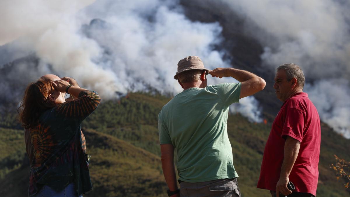 El fuego tiñe de negro la cumbre más alta de Galicia y amenaza su bosque más antiguo