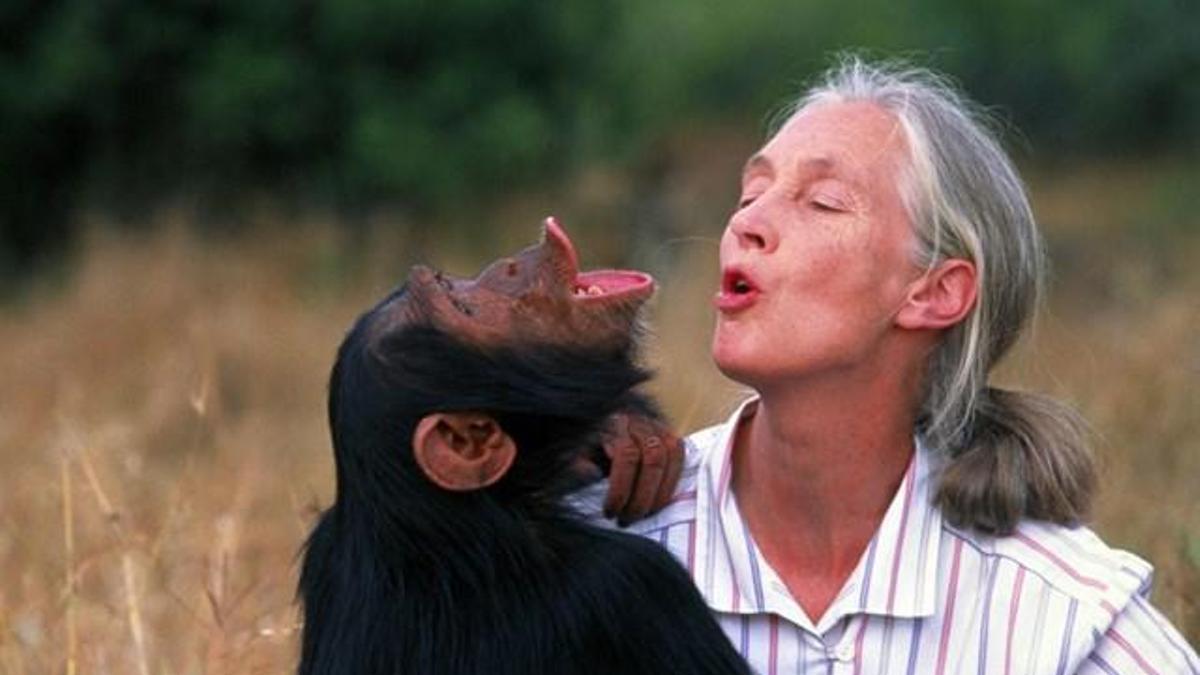 La primatóloga Jane Goodall.