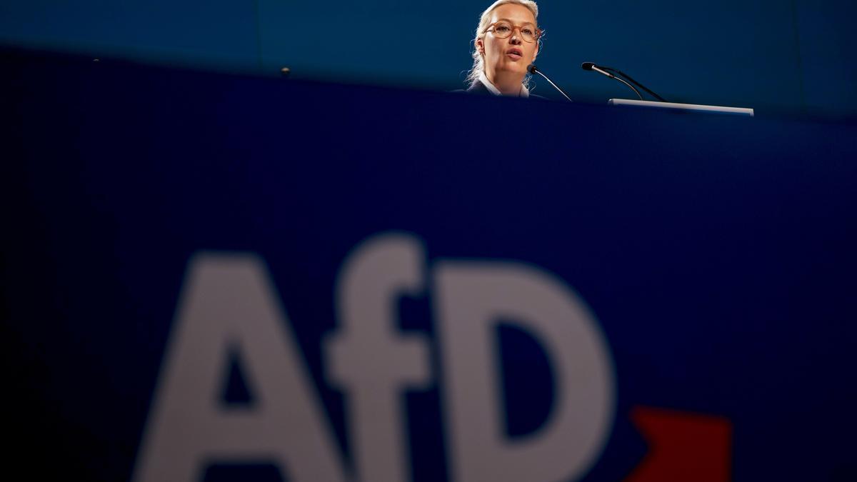 Alemania califica a AfD como un partido 