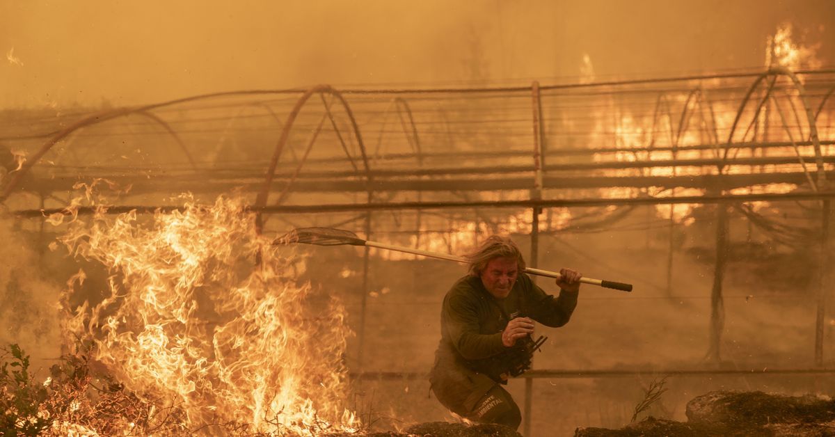 El futuro incierto tras el fuego o cuando impacto económico de los incendios es imponderable
