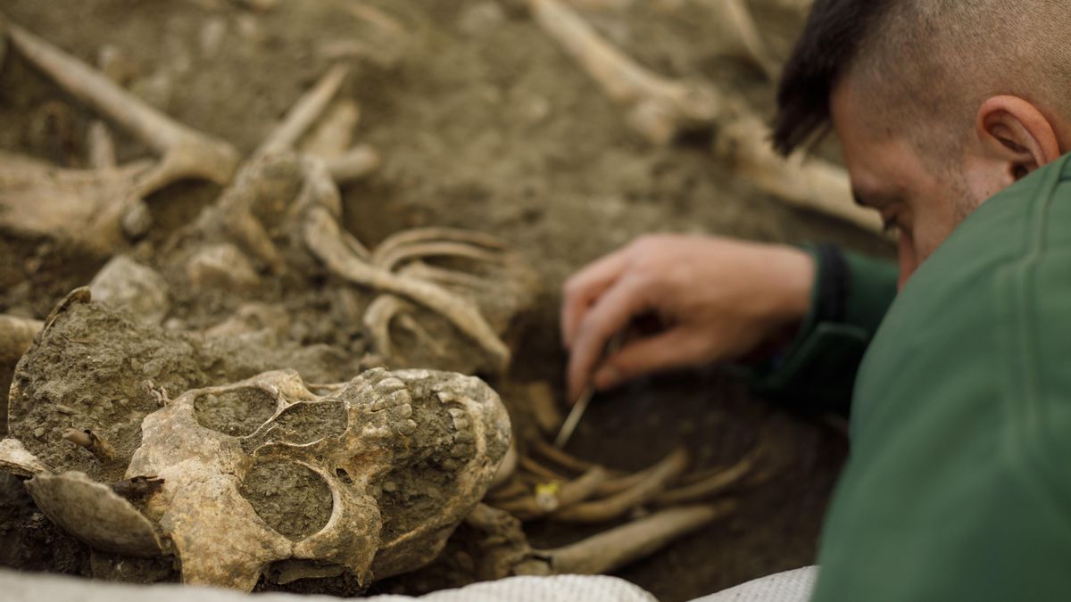 Por qué las exhumaciones de víctimas de la Guerra Civil y la dictadura nos benefician a todos