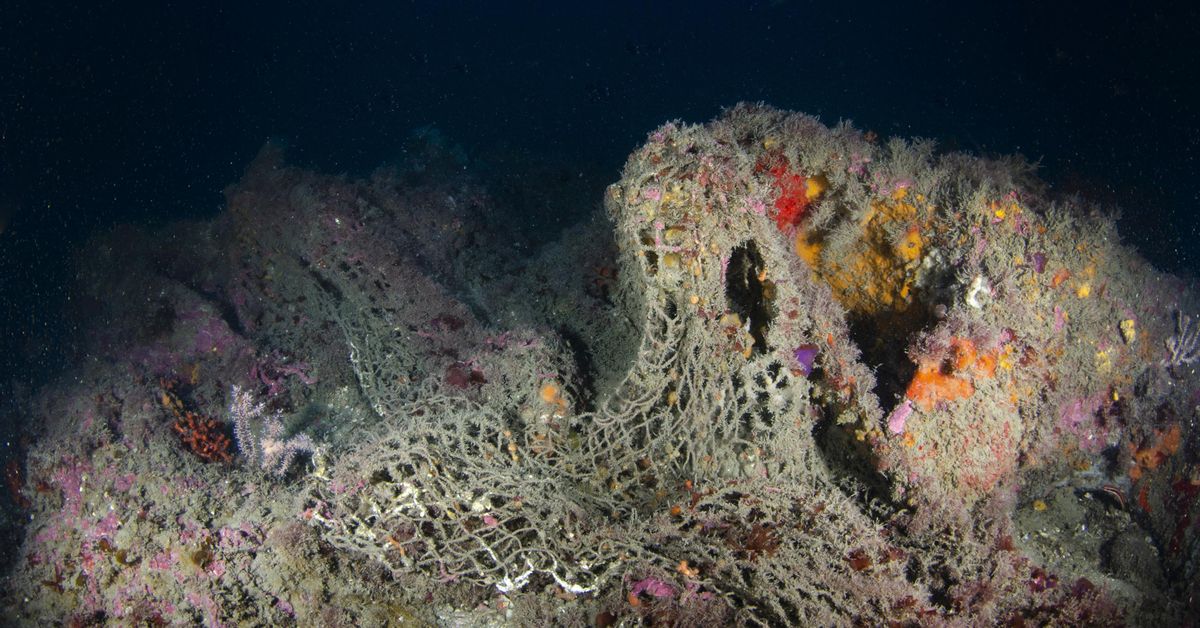 Más de 200 barcos de arrastre pescan en aguas protegidas de España con permiso del Gobierno