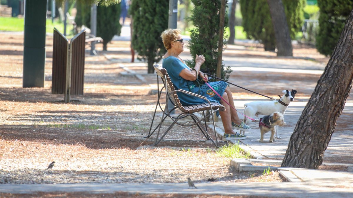Las jubilaciones demoradas crecen, pero no superan a las anticipadas pese las reformas del Gobierno