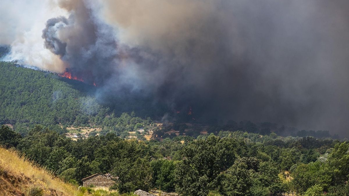 El consejero de Ayuso se jactó de tener el mejor operativo antiincendios de Europa dos días antes de perder el control