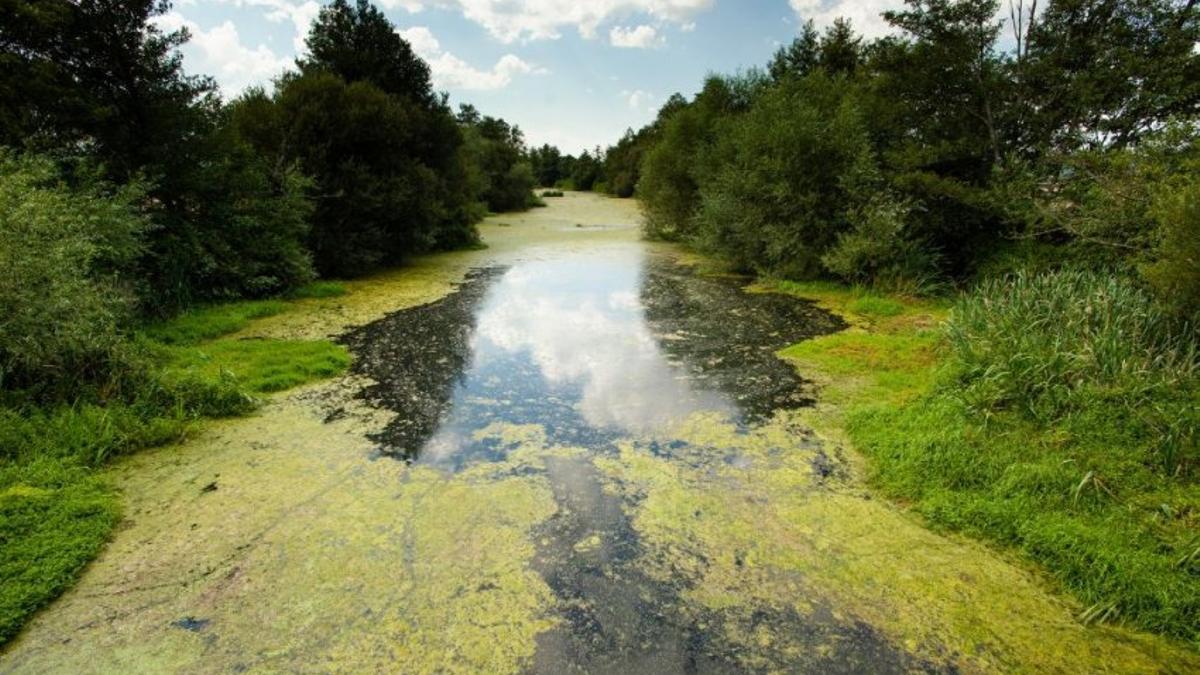 La contaminación del embalse de As Conchas vulnera derechos fundamentales: histórica condena a la Xunta y al Estado