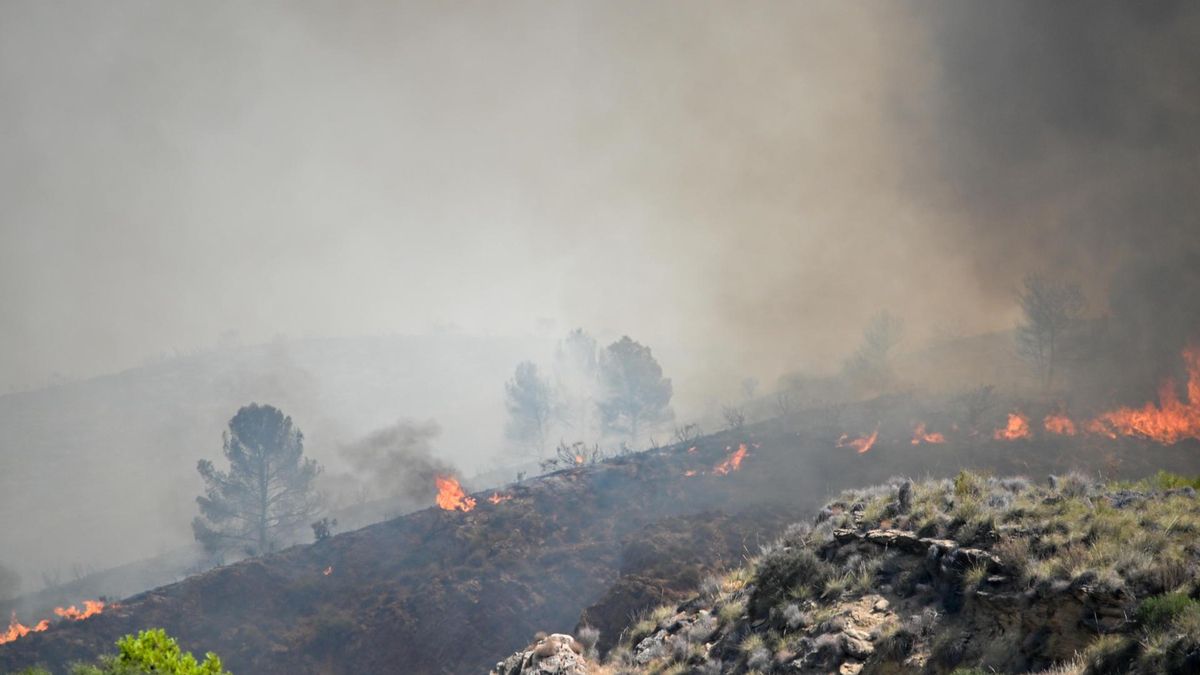 Se elevan a 12 las personas fallecidas en el incendio de Almería y a 23 las no localizadas