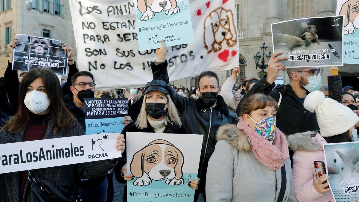 Protesta en Barcelona contra el experimento con perros beagle.