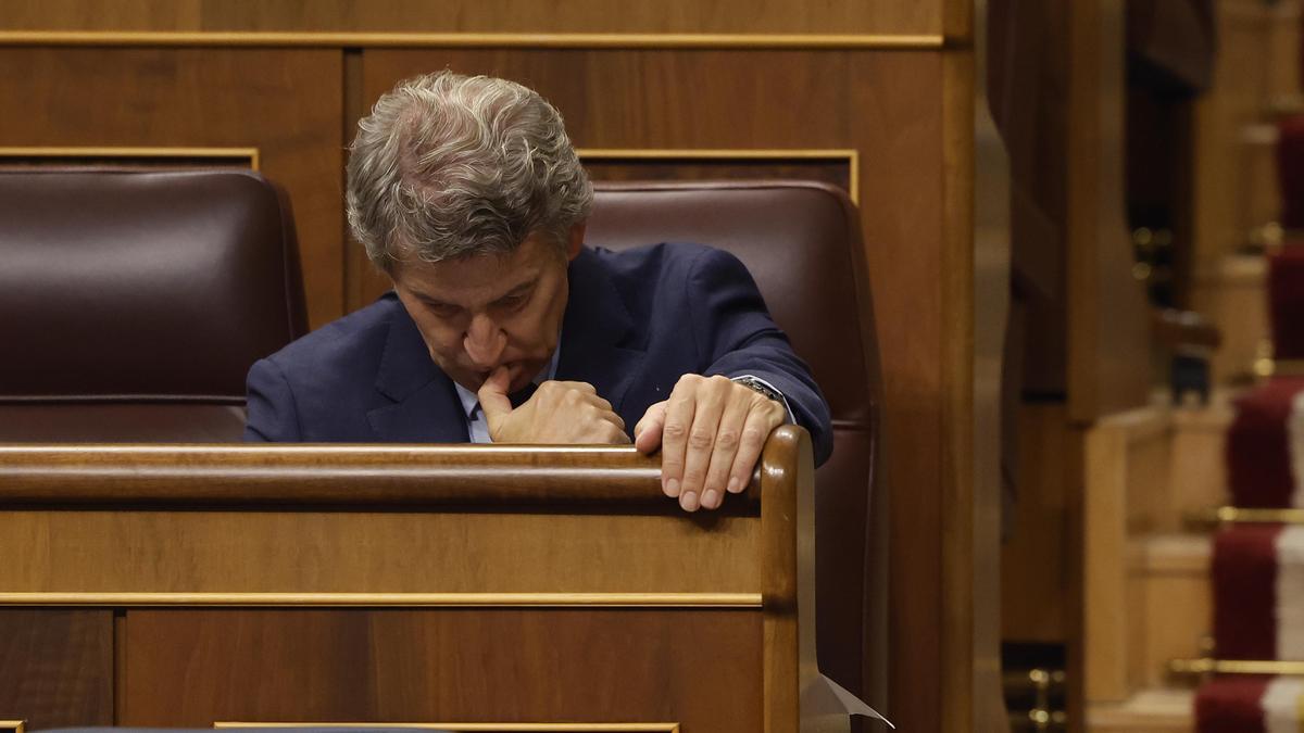 Alberto Núñez Feijóo durante el pleno del Congreso.