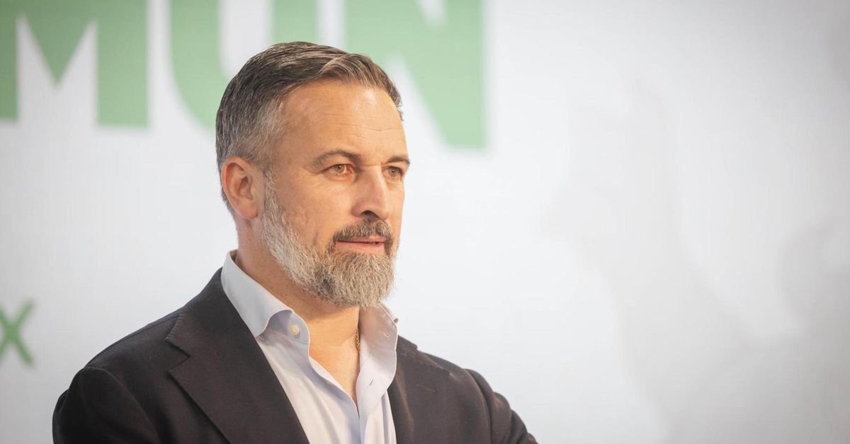 Abascal dice que "no hay techo para Vox" tras su resultado en Castilla ...