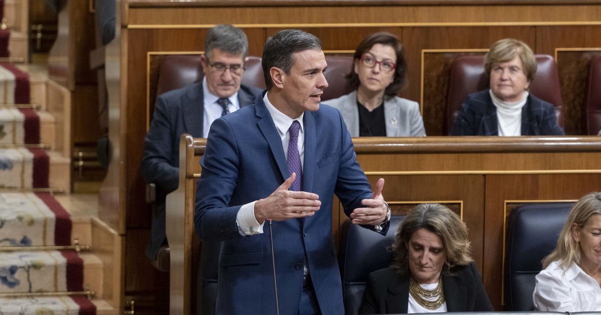 El PSOE, dividido sobre el apoyo del PP a la reforma del 'sí es sí' si ...