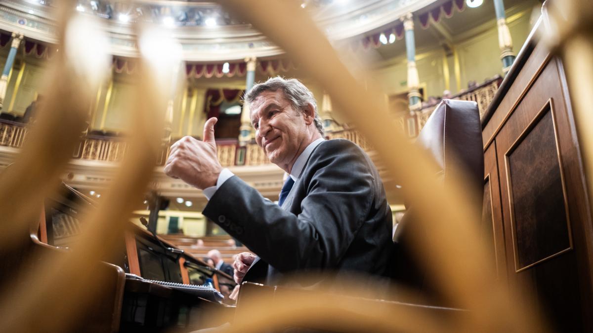 El presidente del PP, Alberto Núñez Feijóo, durante una sesión plenaria en el Congreso.