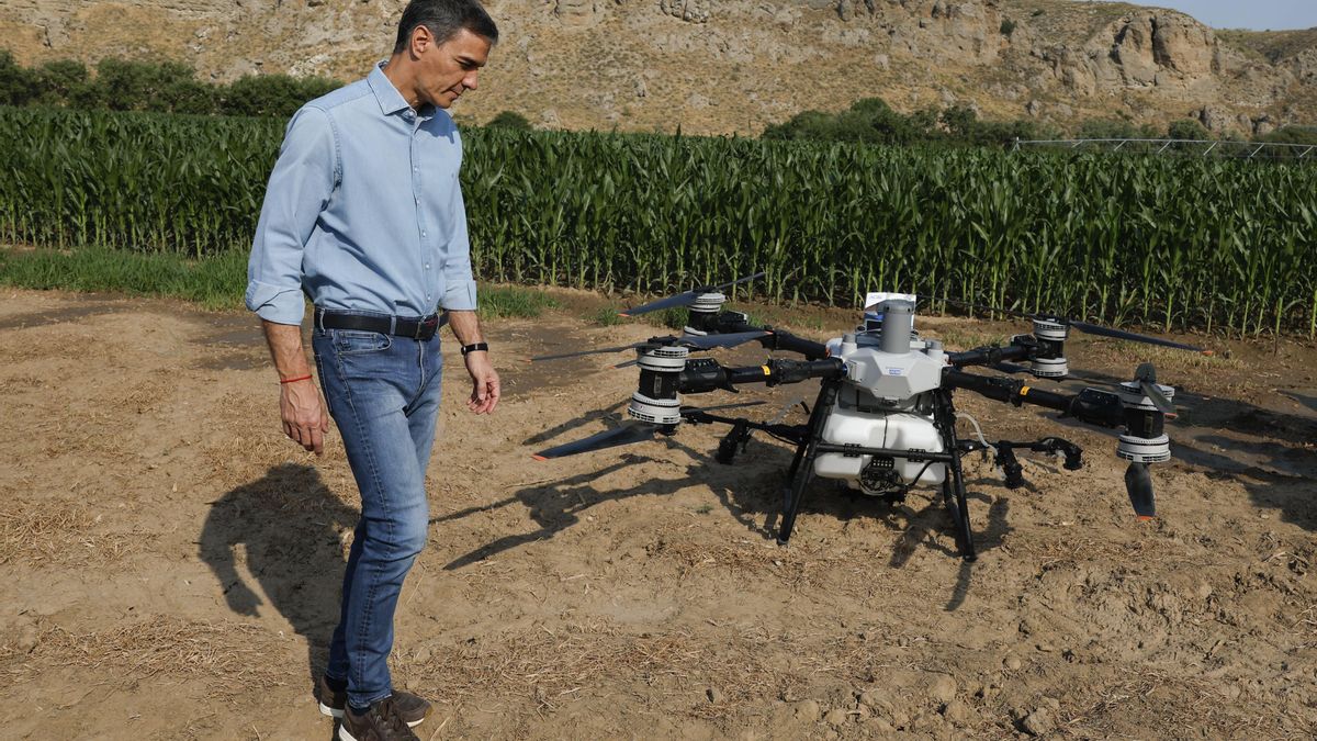 El Gobierno aprovecha los tropiezos de Feijóo para cerrar el curso con un acelerón de medidas sociales