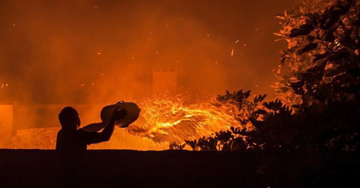 Portugal vive una situación de emergencia: al menos 38 muertos y 55 ...