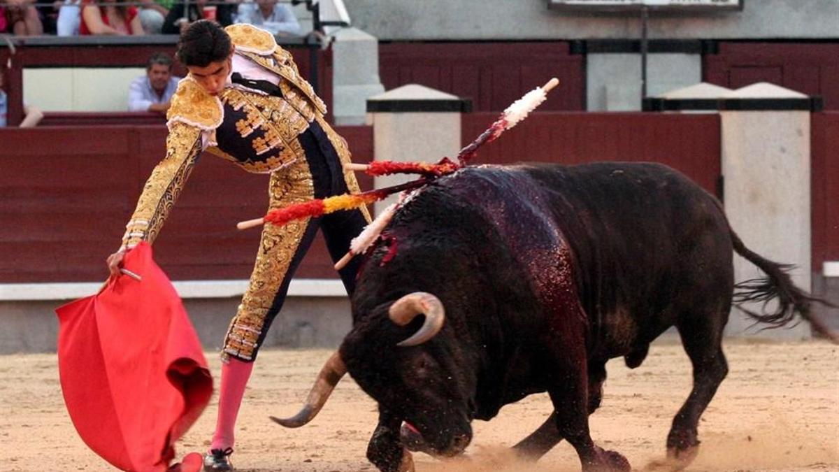 ¿Es la literatura taurina un argumento a favor de la tauromaquia?