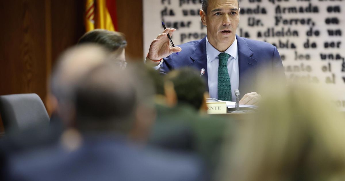 Sigue en directo la comisión de investigación del caso Koldo en el Senado