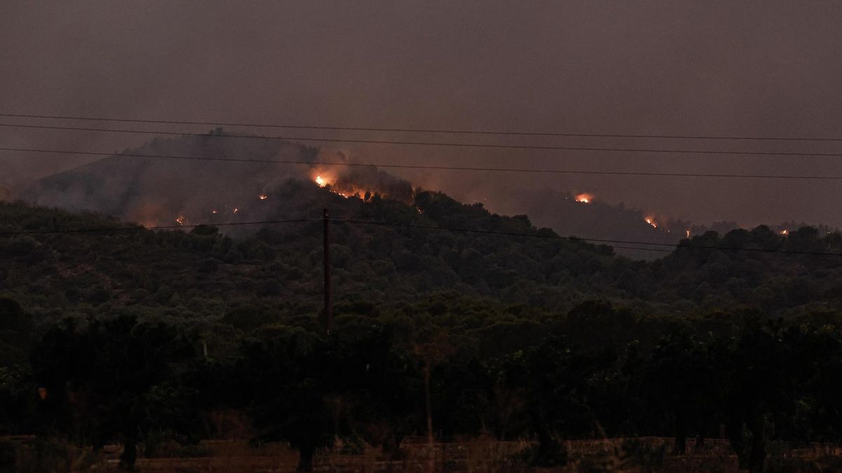 Las llamas del frente del incendio cercanas a la localidad de Betxí (Castellón).