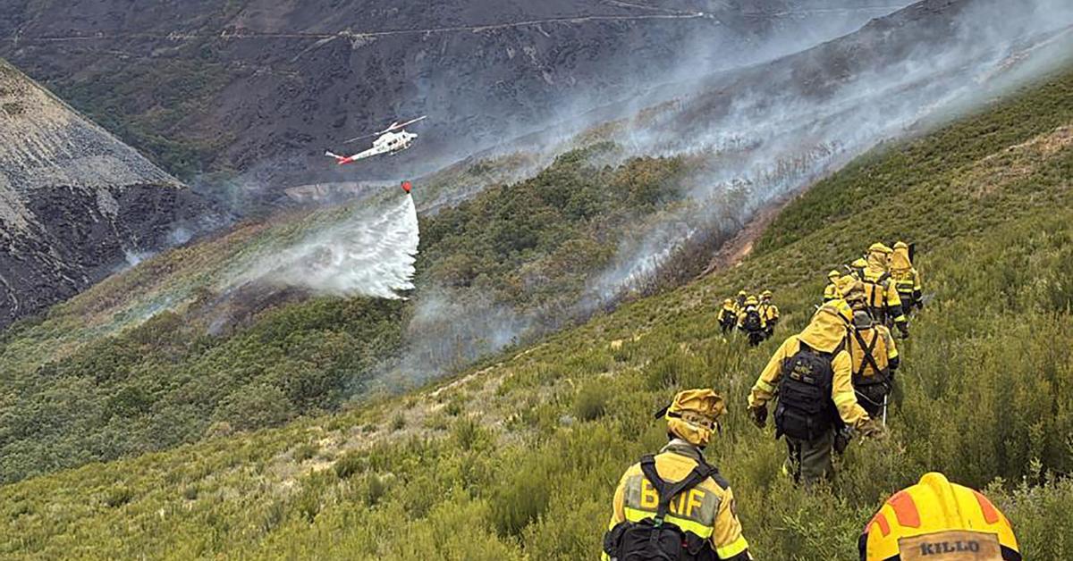 Comienza la carrera para evitar la pérdida irreversible del suelo que ardió en los incendios de León y Galicia
