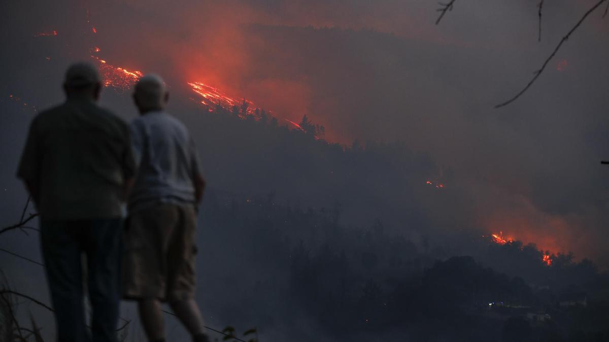 El Gobierno estima en 393.279 las hectáreas afectadas por los incendios forestales en 2025