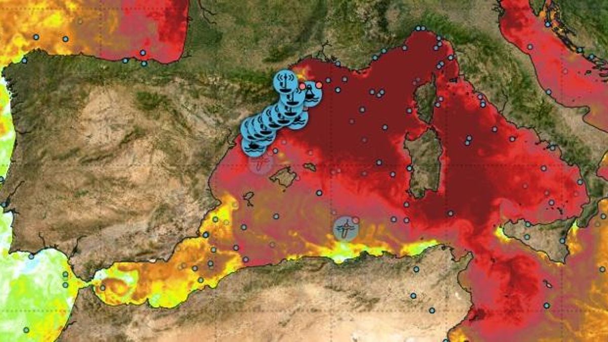 Anomalía de la temperatura del mar Mediterráneo del 28 de junio.