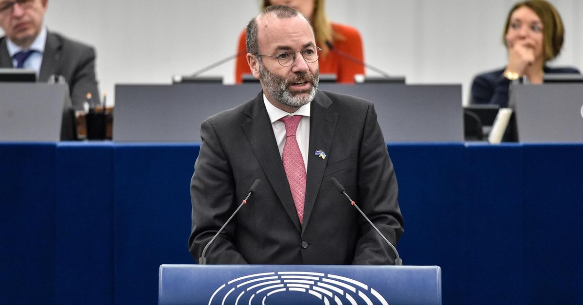 El PP europeo falla en su intento de boicotear el medioambiente de cara ...