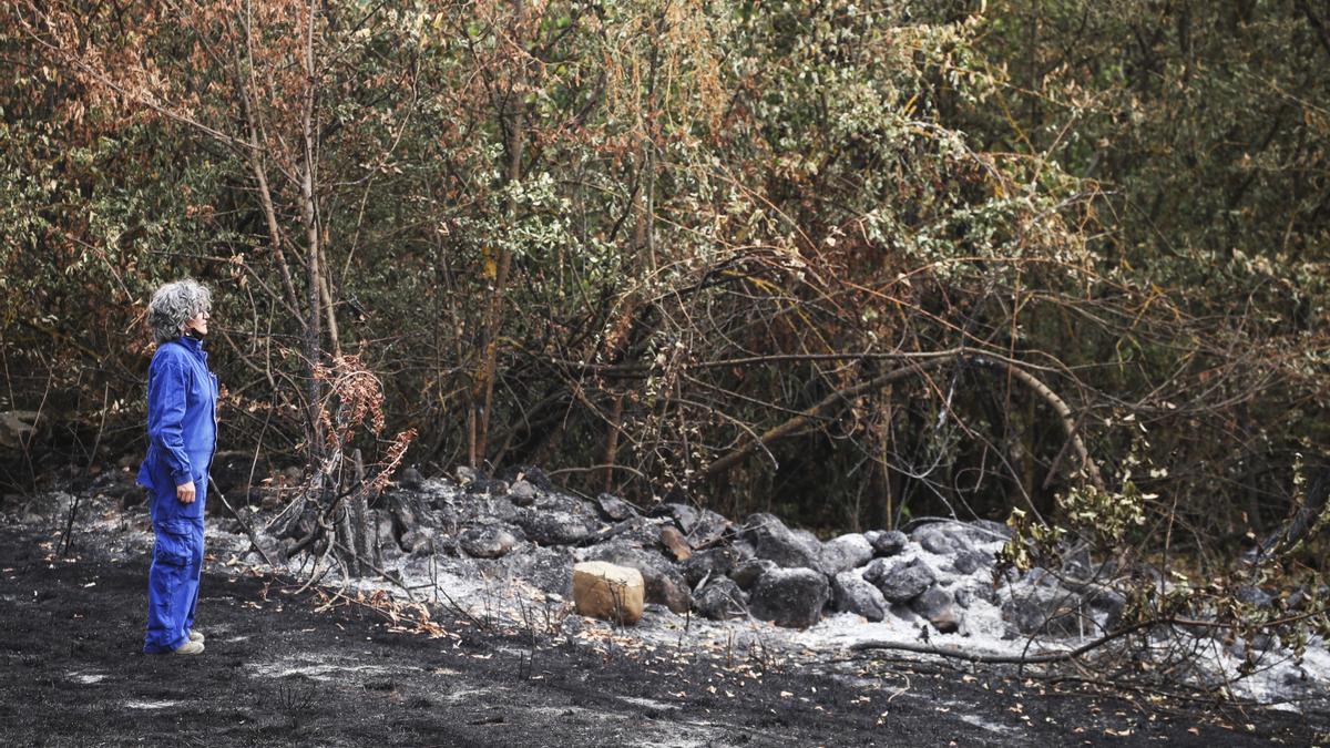 Cuando las llamas entran al pueblo: vecinos desalojados denuncian falta de medios y descoordinación