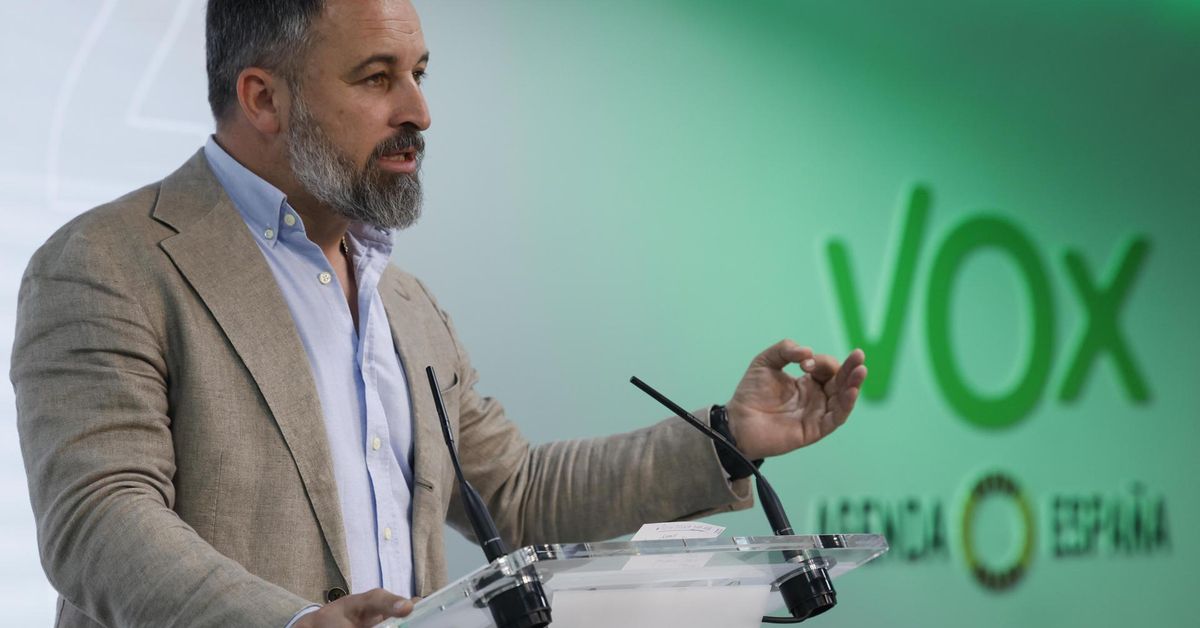 Abascal acusa al PP de hacer "pinza" con el PSOE contra Milei y urge a ...