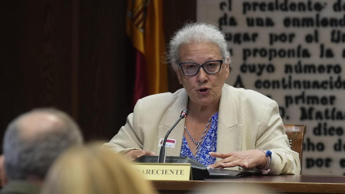 La empresaria que dijo que dio dinero en Ferraz lo ratifica en el Senado pero sin declarar