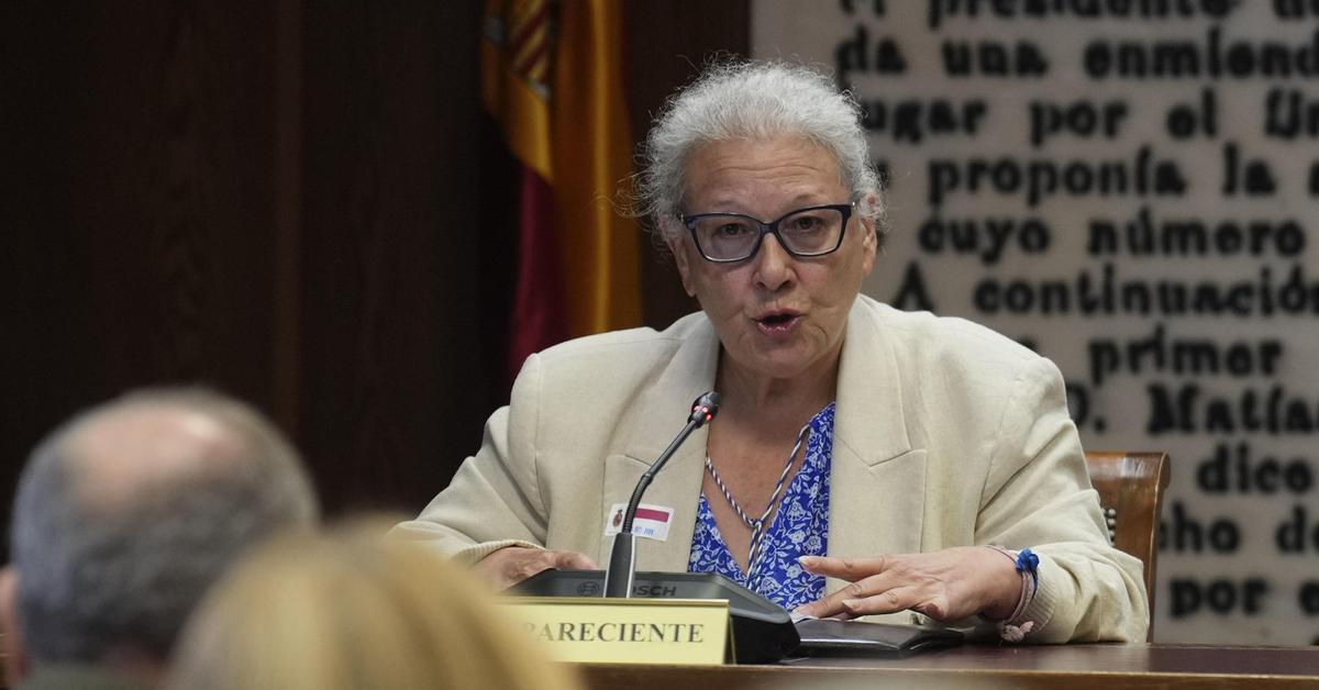 Carmen Pano se niega a declarar en el Senado pero afirma que llevó dinero a Ferraz
