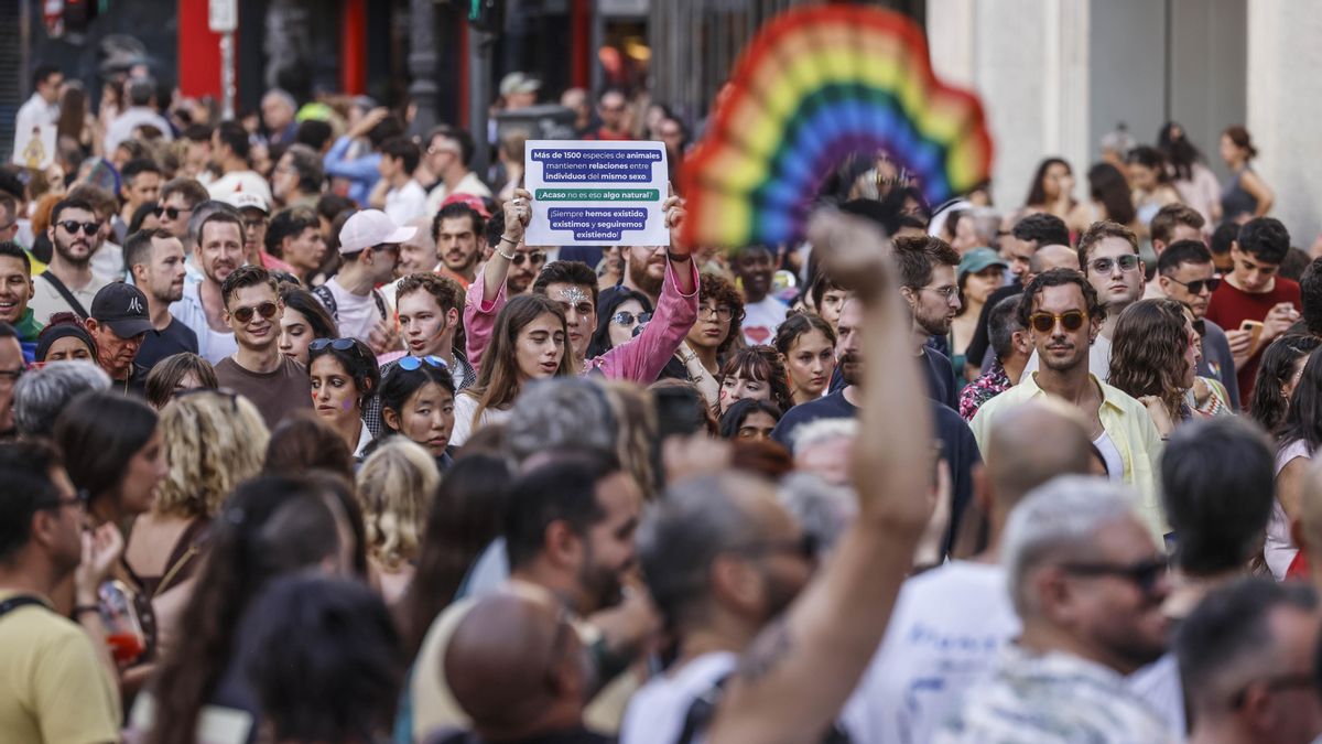 Manifestación del Orgullo 2026 en València.