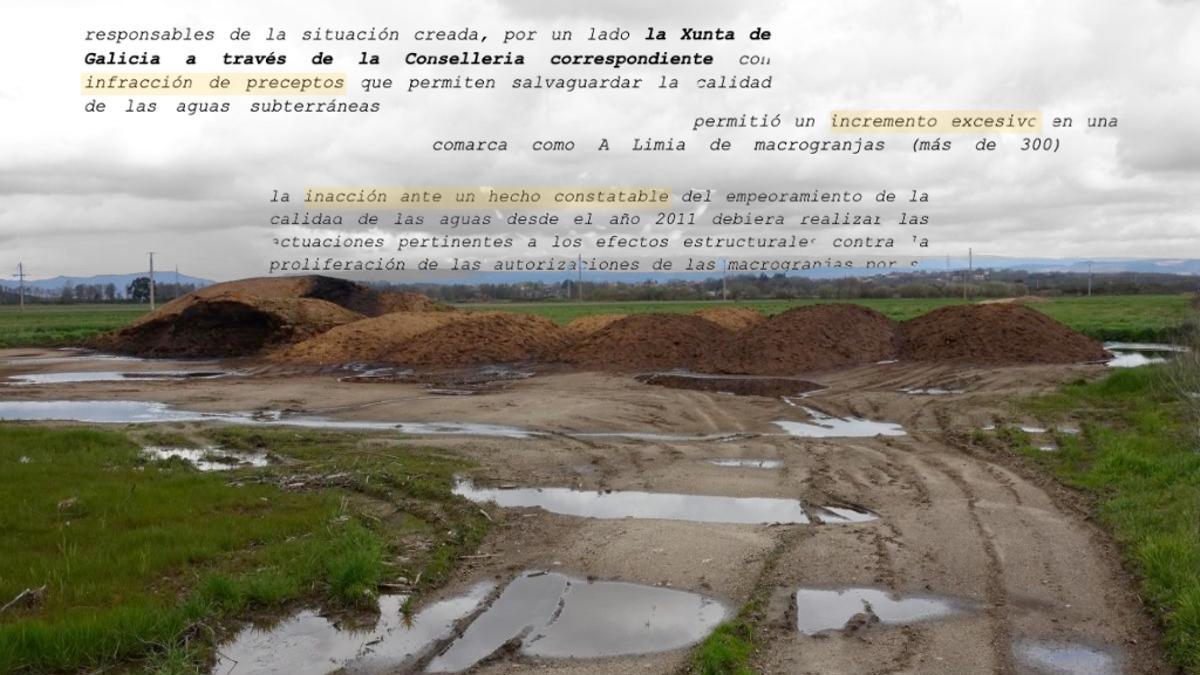 Todo lo que Xunta y el Estado no hicieron contra la contaminación del agua de A Limia a pesar de conocerla