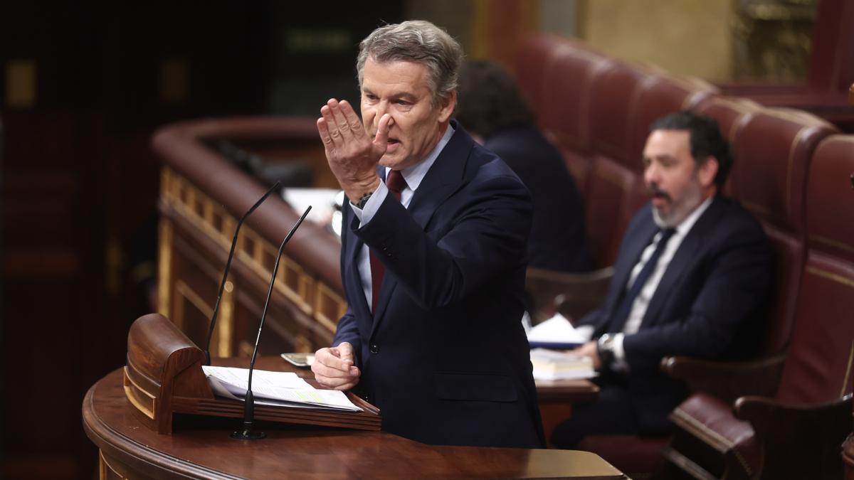 El presidente del Partido Popular, Alberto Núñez Feijóo, interviene durante una sesión de control al Gobierno.