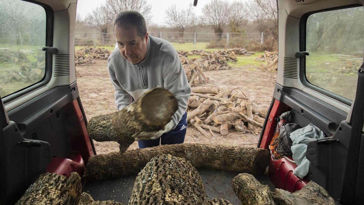Un hombre recogen leña del reparto solidario en una finca, a 15 de enero de 2023, en Manzanares el Real, Comunidad de Madrid.