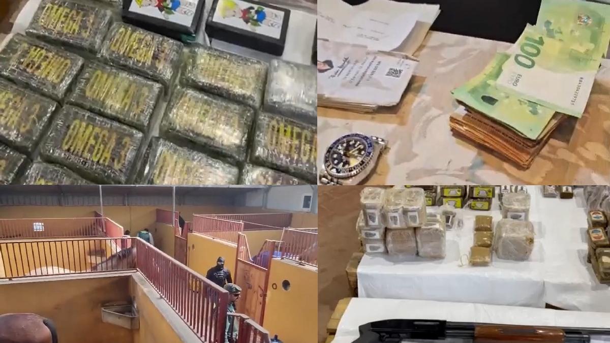 Caletas, armas de guerra, cocaína, hachís y caballos: histórica redada antidroga en el Sureste de España