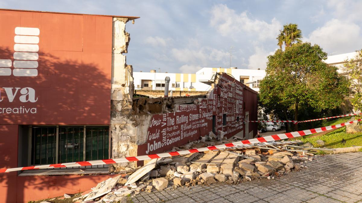 Operarios del Ayuntamiento de Mérida trabajan en la retirada de árboles caídos a consecuencia de la borrasca esta noche y en la limpieza de las calles.