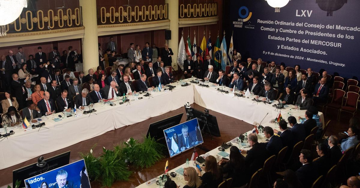 El sector agrario español rechaza el acuerdo con Mercosur y lamenta ser ...
