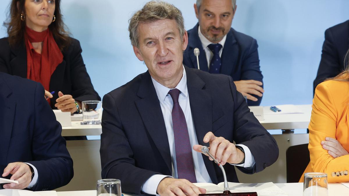 Alberto Núñez Feijóo en la reunión del Comité Ejecutivo Nacional del Partido Popular.