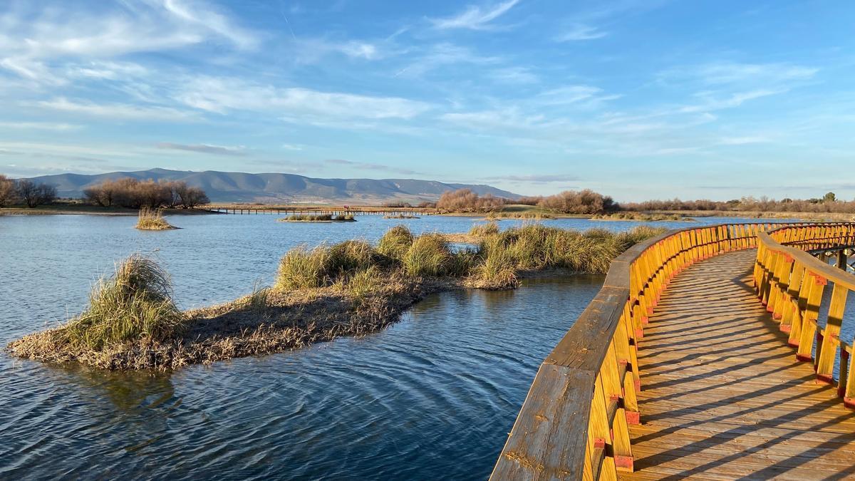 Un ‘Benjamin Button hidrológico’: el curioso caso del río Guadiana en las Tablas de Daimiel