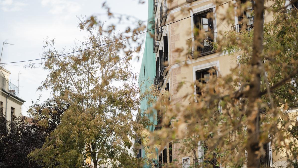Estado del edificio derrumbado en la calle Hilares, a 8 de octubre de 2025, en Madrid