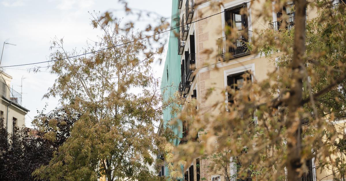 El derrumbe en Madrid revela el nuevo rostro del ladrillo: capital saudí y viejas élites españolas