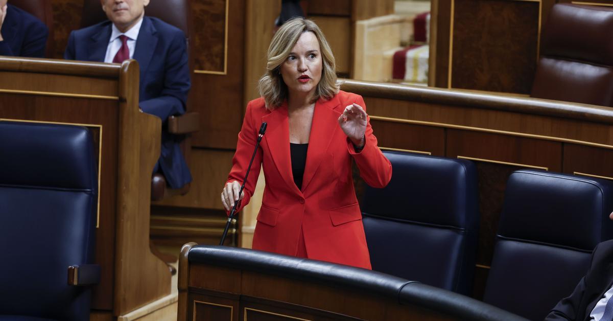 "Sorpresa y estupor" en el Gobierno por el auto de Peinado: "Se explica por sí solo"