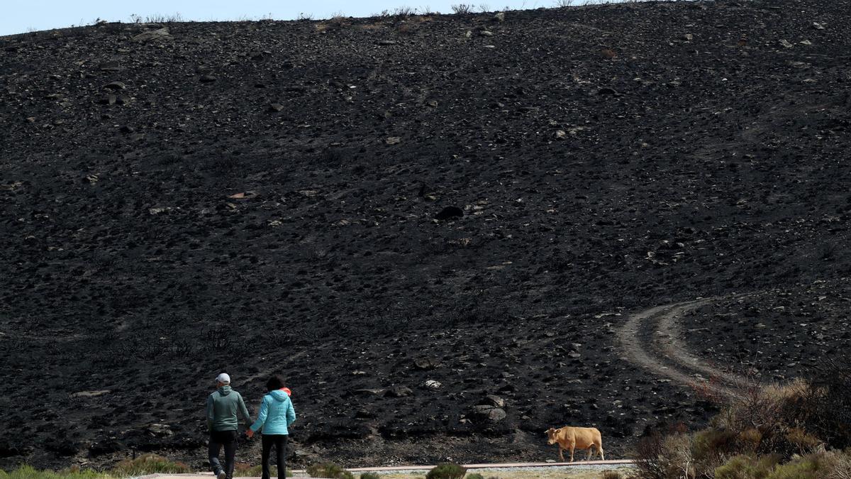 El incendio de Porto (Zamora) sigue sin extinguirse tras 2 meses y 24.000 hectáreas quemadas