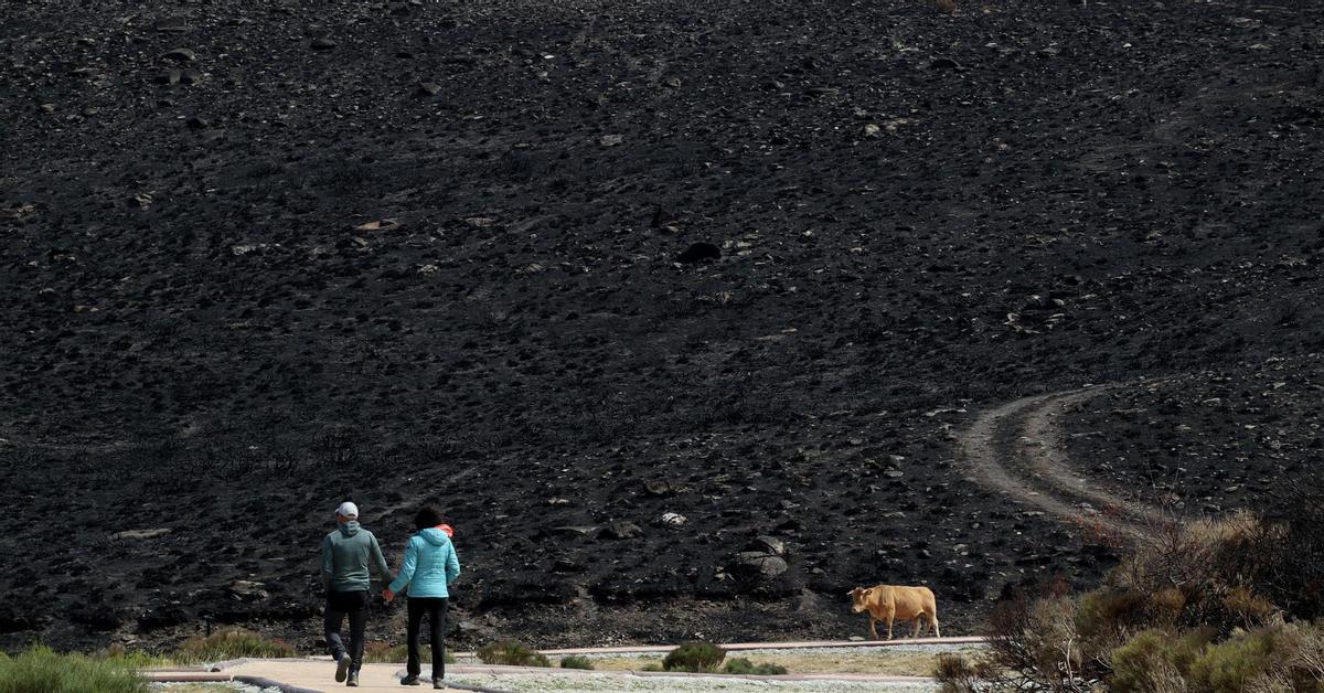 El incendio de Porto (Zamora) sigue sin extinguirse tras 2 meses y 24.000 hectáreas quemadas
