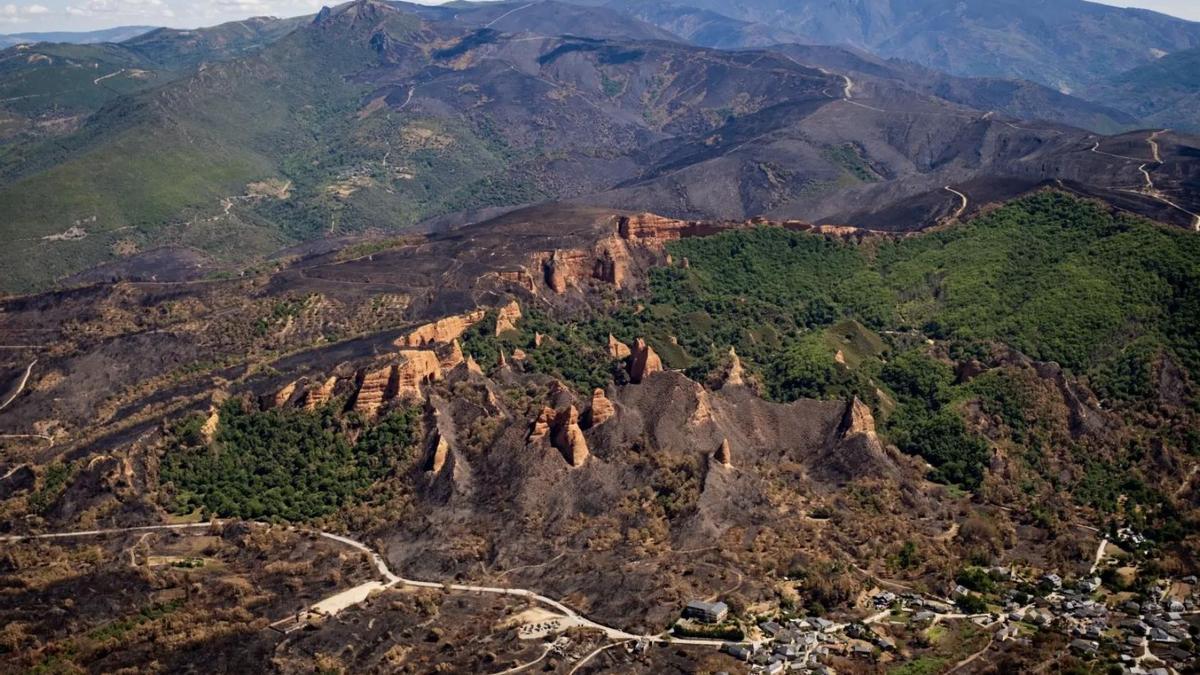 Urogallos, buitres negros y castaños centenarios: los daños de los incendios de agosto empiezan a aflorar