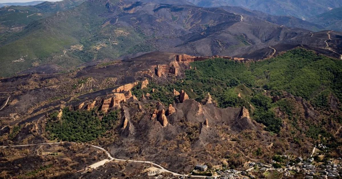 Urogallos, buitres negros y castaños centenarios: los daños de los incendios de agosto empiezan a aflorar