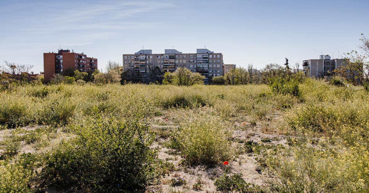 El Estado asumirá terrenos de la antigua cárcel de Carabanchel para levantar 508 viviendas