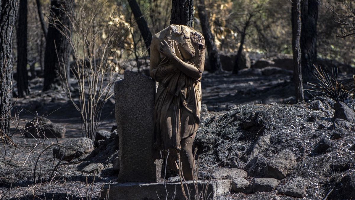 Una escultura quemada en el Jardín Botánico de La Adrada, a 1 de agosto de 2026, en Ávila, Castilla y León (España).