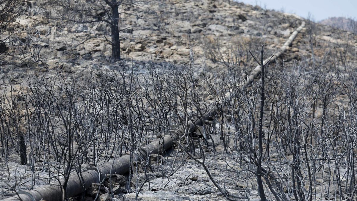 Una tubería recorre un paisaje quemado en la Vilavella (Castellón), uno de los municipios afectados por el incendio declarado el pasado sábado en La Vall d'Uixó (Castellón) que sigue sin estabilizar tras siete días activo.